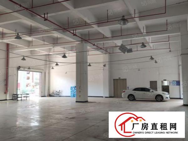  厚街下汴园区一楼全新990平厂房出租，带消防喷淋采光好水电全