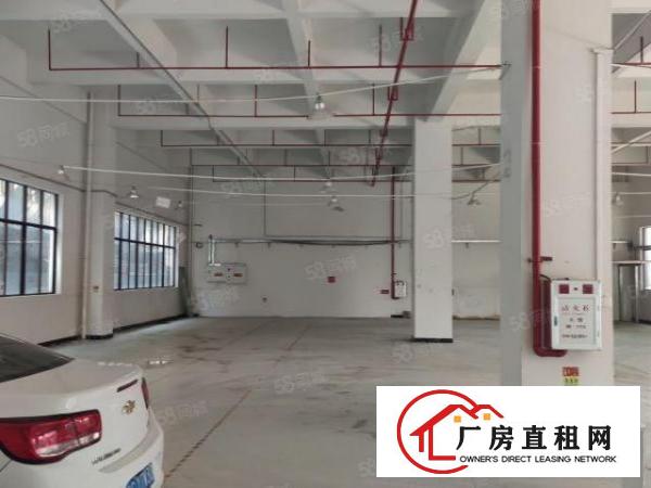  厚街下汴园区一楼全新990平厂房出租，带消防喷淋采光好水电全