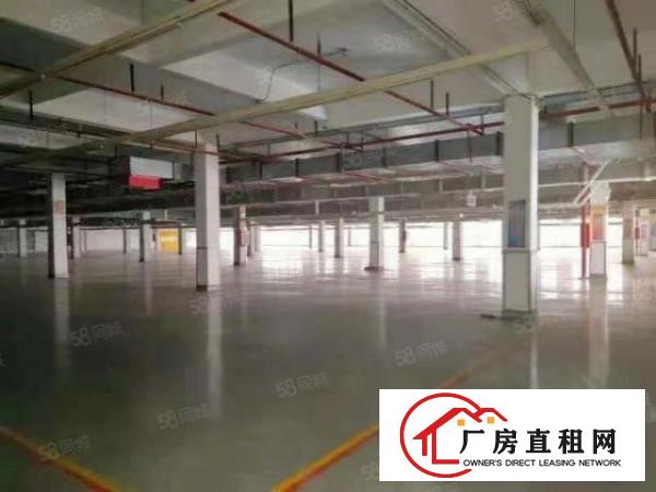 厚街新出标准楼房带现成印刷和塑胶环评厂房招