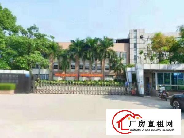  厚街新出标准楼房带现成印刷和塑胶环评厂房招