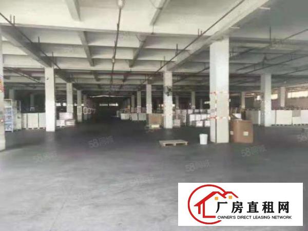  厚街新出标准楼房带现成印刷和塑胶环评厂房招
