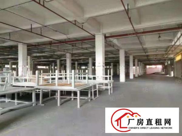  厚街新出标准楼房带现成印刷和塑胶环评厂房招