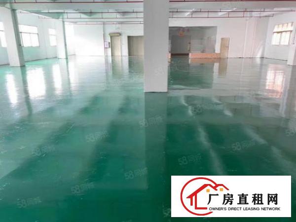  白濠工业园区新出楼上1100平带现成办公室精装修