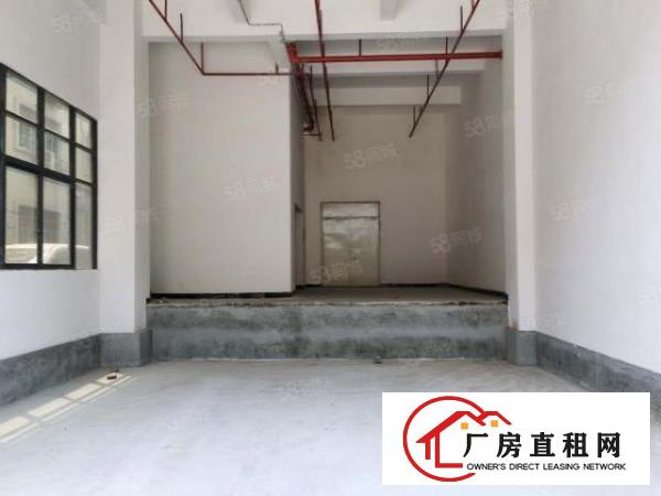  全新高大尚玻璃墙工业厂房天然气管道到位金刚沙地面