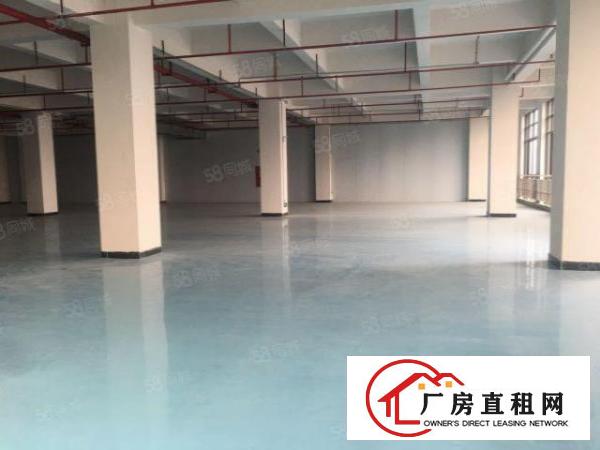  全新高大尚玻璃墙工业厂房天然气管道到位金刚沙地面