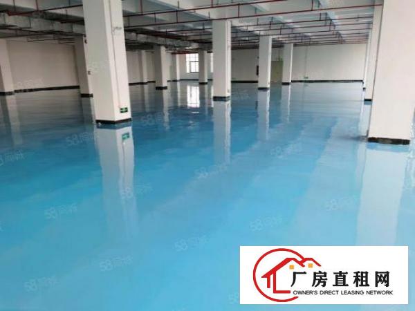  全新高大尚玻璃墙工业厂房天然气管道到位金刚沙地面