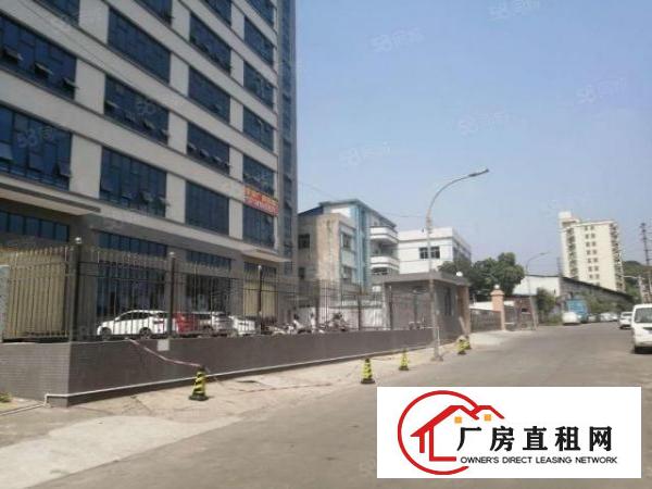  房东直租莞太路边全新带地坪漆厂房1350平米