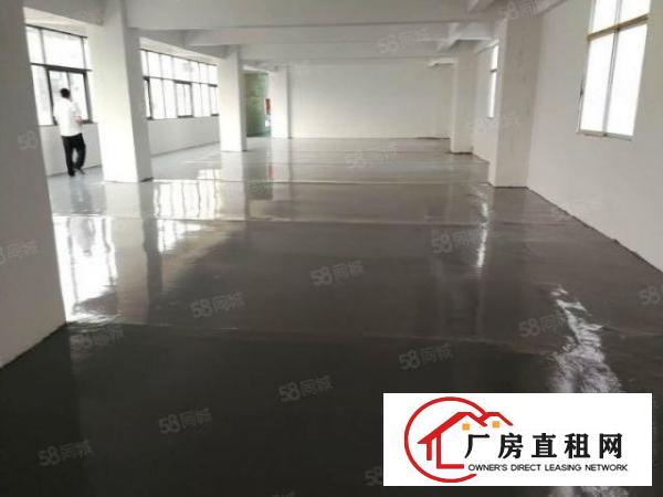  标准厂房楼上5000平方出租可分租