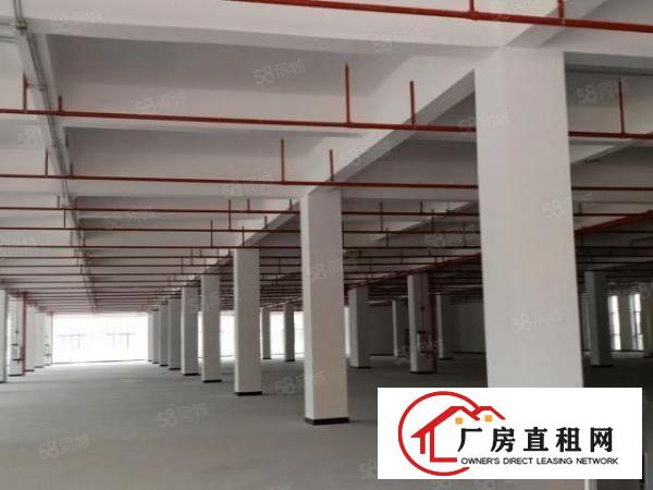  厚街汀山全新厂房单层2200平方全新装修出租
