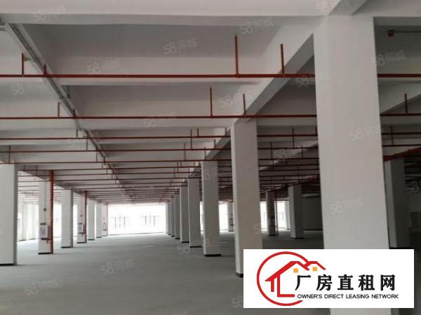  厚街汀山全新厂房单层2200平方全新装修出租
