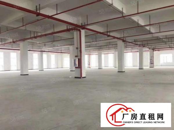  厚街汀山全新厂房单层2200平方全新装修出租