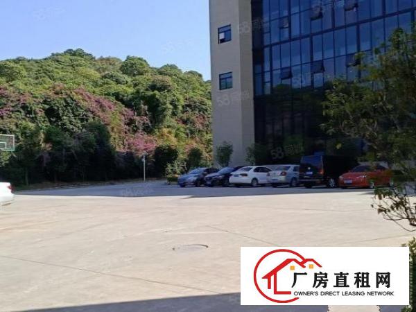 厚街汀山全新厂房单层2200平方全新装修出租