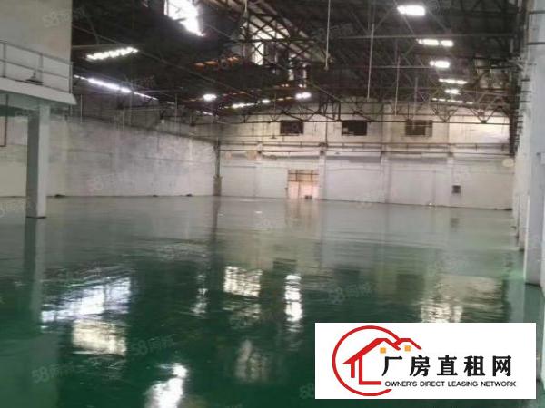  厚街单一层滴水8米高厂房2150平方超低价只租12元实际面积