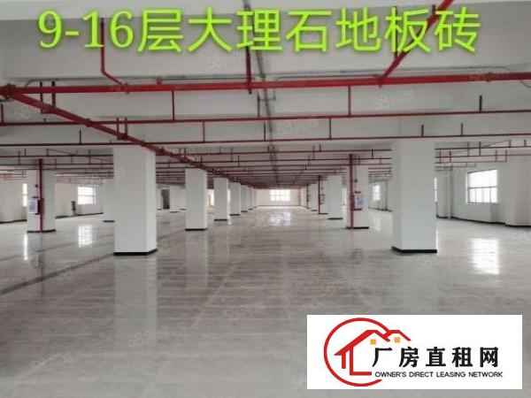  厚街下汴新出超靓标准厂房总面积54000平