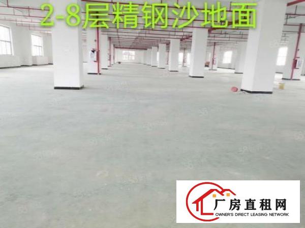  厚街下汴新出超靓标准厂房总面积54000平