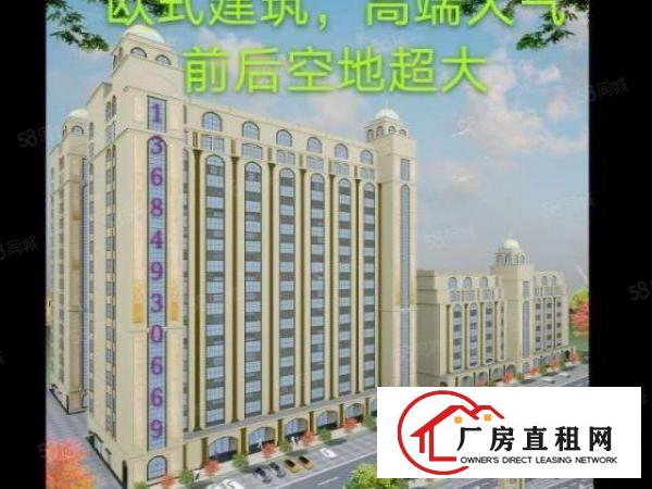 厚街下汴新出超靓标准厂房总面积54000平