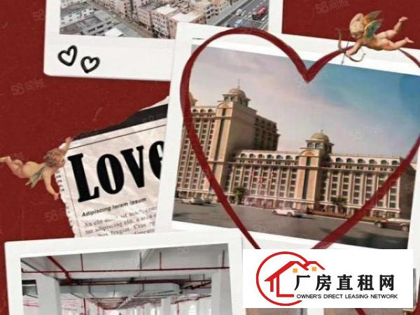  厚街下汴新出超靓标准厂房总面积54000平