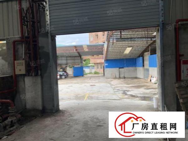  厚街军铺旁新出钢构厂房1000平，价格优惠