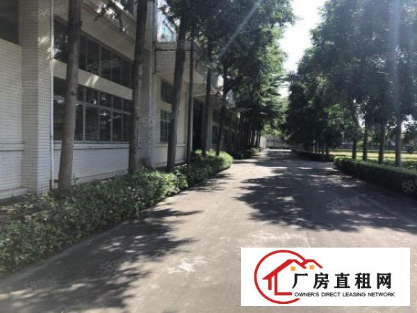  厚街镇溪头新出独院33000平米招租