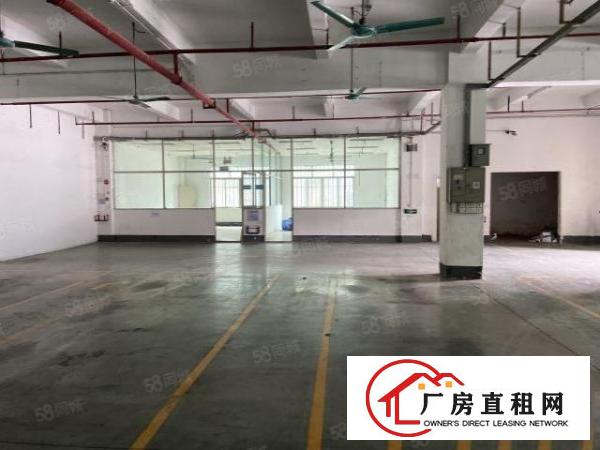  厚街原房东带环评一楼2800平精装