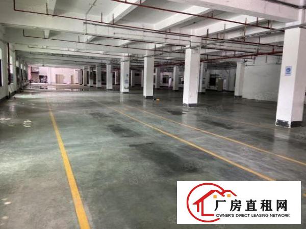  厚街原房东带环评一楼2800平精装