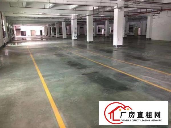  厚街原房东带环评一楼2800平精装