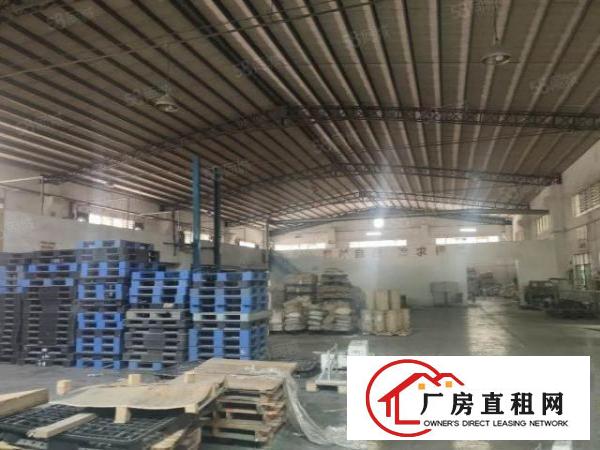  厚街新出滴水8米标准厂房4000平方
