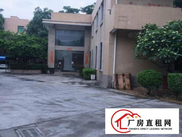  厚街新出滴水8米标准厂房4000平方