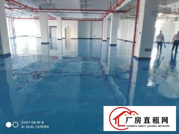  厚街原房东产权50年全新工业大厦1000平方