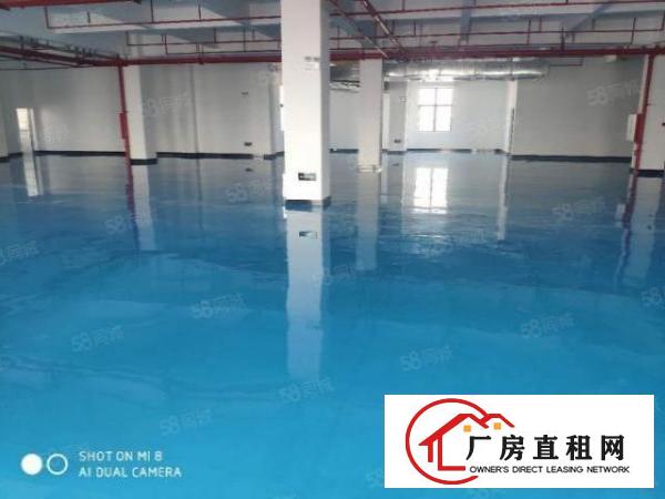  厚街原房东产权50年全新工业大厦1000平方
