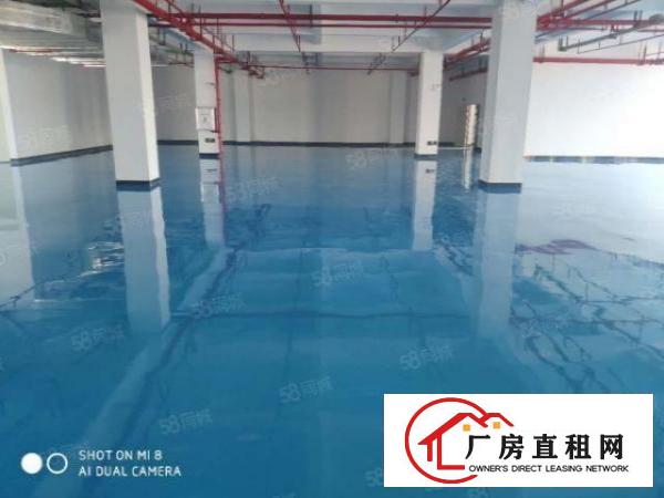  厚街原房东产权50年全新工业大厦1000平方