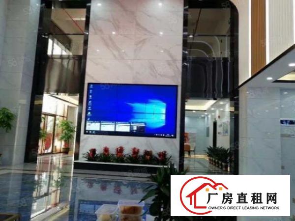  厚街原房东产权50年全新工业大厦1000平方