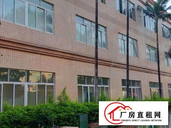  桥头村新出原房东独门独院厂房1到3层4800平