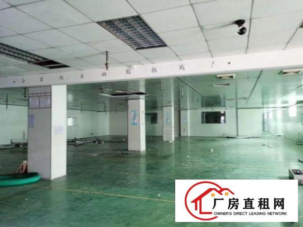  厚街新塘独院厂房仓库11000方可分租