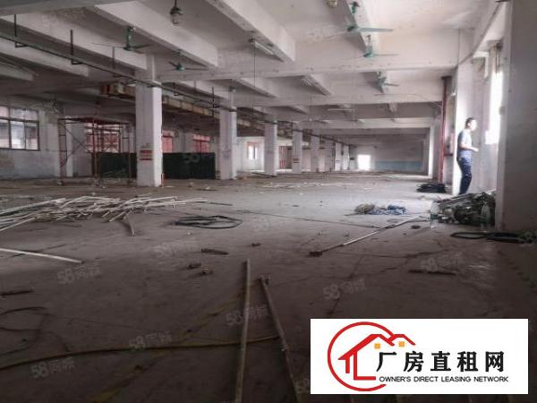  厚街新塘独院厂房仓库11000方可分租