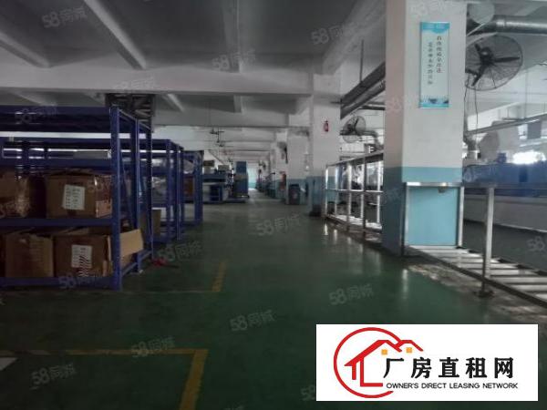 厚街新塘独院厂房仓库11000方可分租