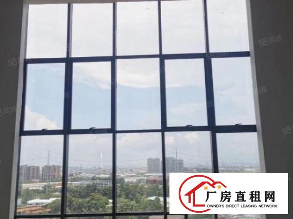  （实拍）全新现代化厂房楼上3300平方，采光通风好5吨大电梯