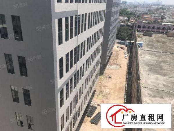  （实拍）全新现代化厂房楼上3300平方，采光通风好5吨大电梯