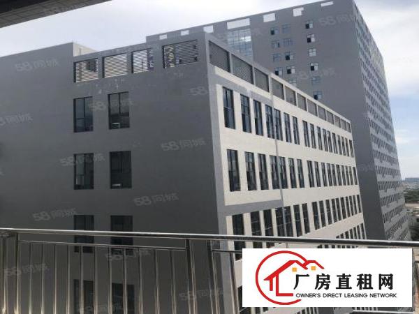  （实拍）全新现代化厂房楼上3300平方，采光通风好5吨大电梯
