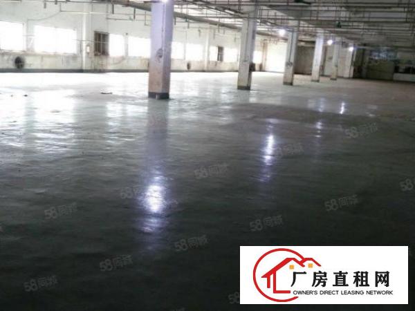  白濠工业园区新出楼上1000平带现成办公室装修