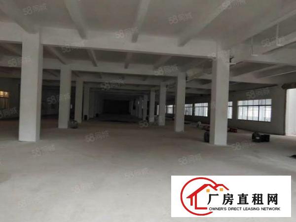  厚街一手小独院厂房两层实际面积价格优惠
