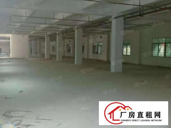  厚街一手小独院厂房两层实际面积价格优惠