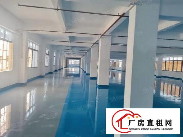  厚街独门独院11600有房产证！可办环评