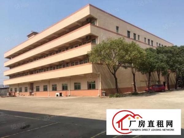  厚街原房东花园式厂房单一层2500平方出租，空地大