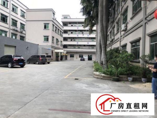  厚街镇桥头第三工业区新出红本厂房7200平米招租
