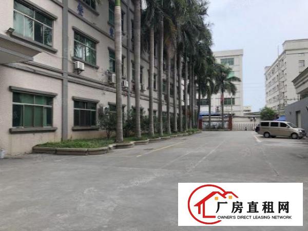  厚街镇桥头第三工业区新出红本厂房7200平米招租