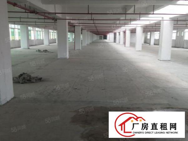  厚街新出10元厂房3800方招租