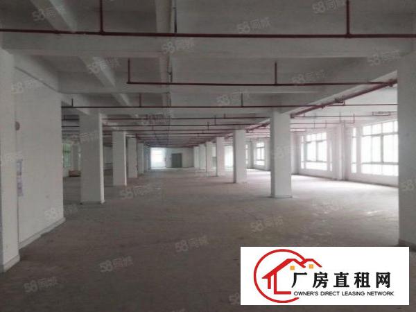  厚街新出10元厂房3800方招租