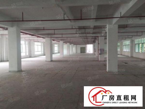  厚街新出10元厂房3800方招租