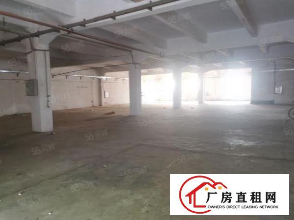  家具大道有办公室一楼1200平方厂房仓库出租两个门头进出方便